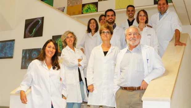 ep equipoinvestigacioncabimer