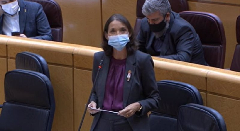 ep la ministra de industria comercio y turismo reyes maroto durante su intervencion en el senado ep la ministra de industria comercio y turismo reyes maroto durante su intervencion en el senado
