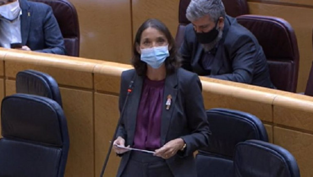 ep la ministra de industria comercio y turismo reyes maroto durante su intervencion en el senado