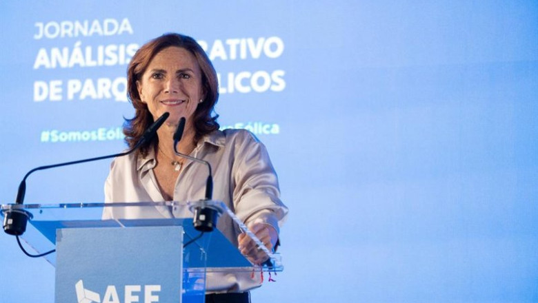ep la presidenta de la aee rocio sicre
