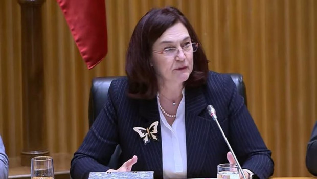 ep la presidenta de la comision nacional de los mercados y la competencia cnmc comparece en el