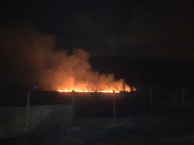 La zona pantanosa dificultó la extinción del fuego | CEDIDA ep la zona pantanosa dificulto la extincionfuego
