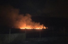 ep la zona pantanosa dificulto la extincionfuego