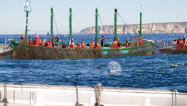 ep las almadrabas en una levanta del atun rojo en aguas de cadiz ep las almadrabas en una levanta del atun rojo en aguas de cadiz