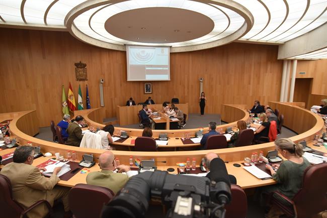 ep plenola diputacionjunio2018