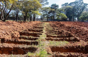 ep tumbas excavadas en un cementerio para victimas del coronavirus en sao paulo brasil