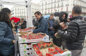 ep upa repartira mas de 2000 tarrinas de fresa de huelva en la puerta del sol ep upa repartira mas de 2000 tarrinas de fresa de huelva en la puerta del sol