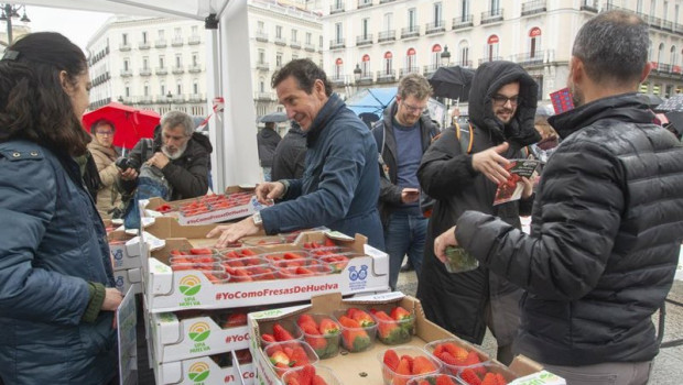 ep upa repartira mas de 2000 tarrinas de fresa de huelva en la puerta del sol