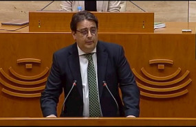 ep vergeles en la comparecencia en la asamblea para informar sobre el coronavirus