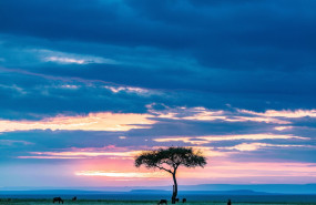 maasai mara g6913efbef 1920 