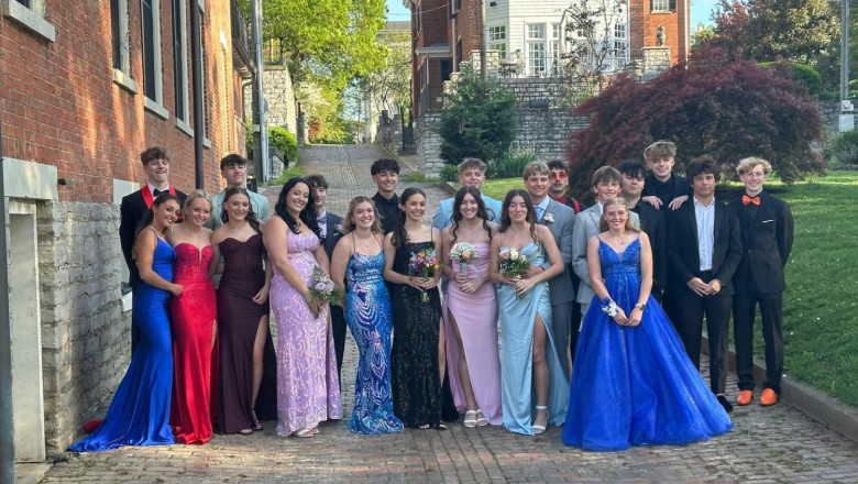 the lemon tree education 1 