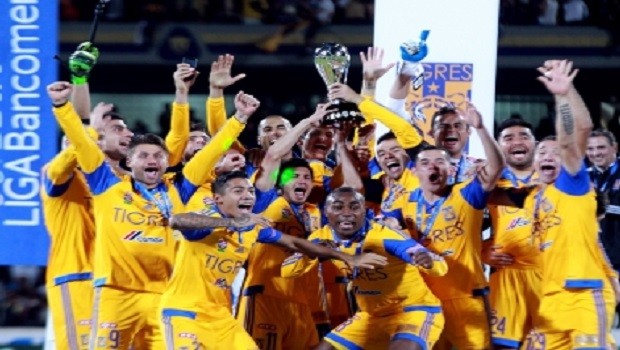 tigres campeon