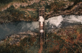 1581166324 setroimagen