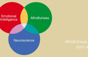 1583162499 02 siy eng 1583162499 02 siy eng