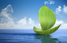 1643699728 gettyimages 520658779