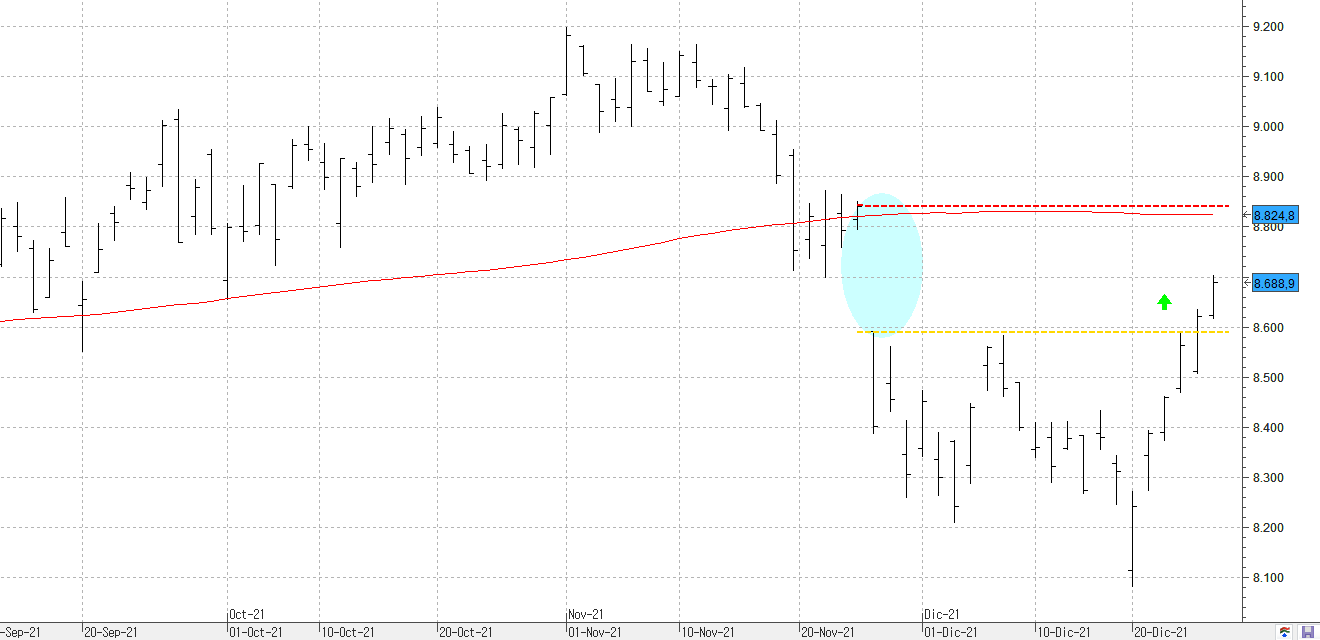 c281221ibex