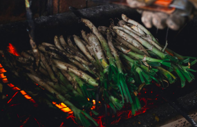 captura de pantalla 2023 03 27 a les 114359