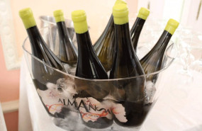 ep archivo   botellas de vino de la do almansa