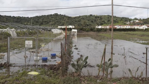 ep archivo   campo afectado por el temporal