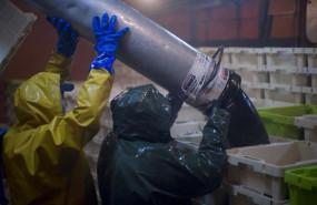 ep archivo   trabajadores faenando