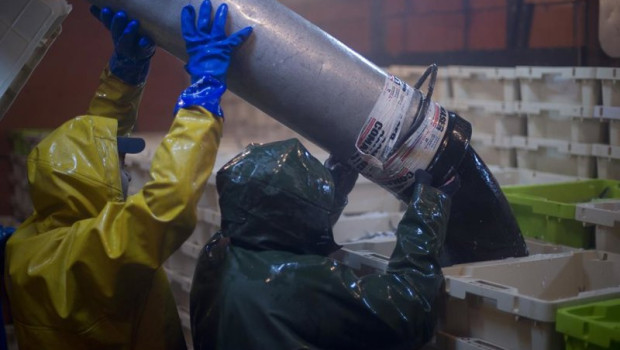 ep archivo   trabajadores faenando