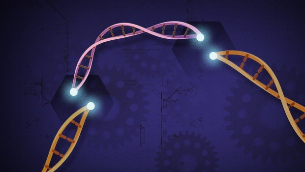 ep crispr-cas9