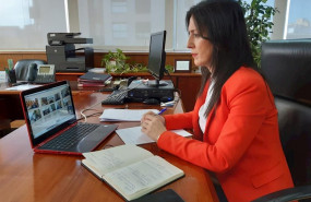 ep esther gutierrez durante la videoconferencia de la sectorial de educacion