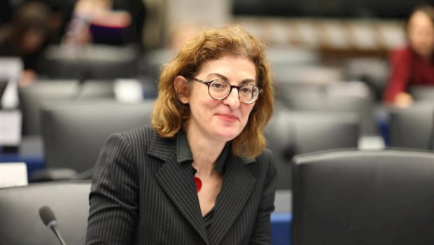 ep la vicepresidenta de la comision de comision de libertades civiles justicia y asuntos de interior
