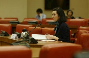 ep nuria diaz abad jurista del cgpj en el congreso