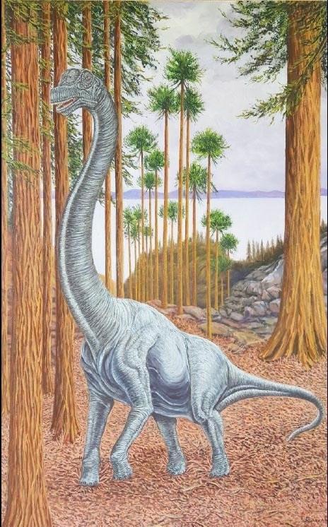 Reconstrucción de 'Soriatitan golmayensis', dinosaurio saurópodo identificado en | FUNDACIÓN DINÓPOLIS ep reconstruccion de soriatitan golmayensis dinosaurio sauropodo identificado en