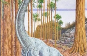 ep reconstruccion de soriatitan golmayensis dinosaurio sauropodo identificado en