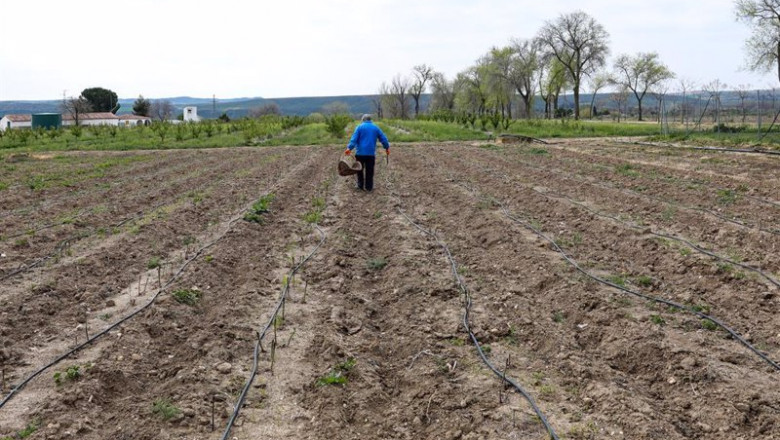 Un agricultor en un campo de Aranjuez | Jesús Hellín - Europa Press - Archivo ep un agricultor en un campo de aranjuez