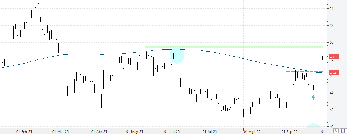 k021025inditex k021025inditex