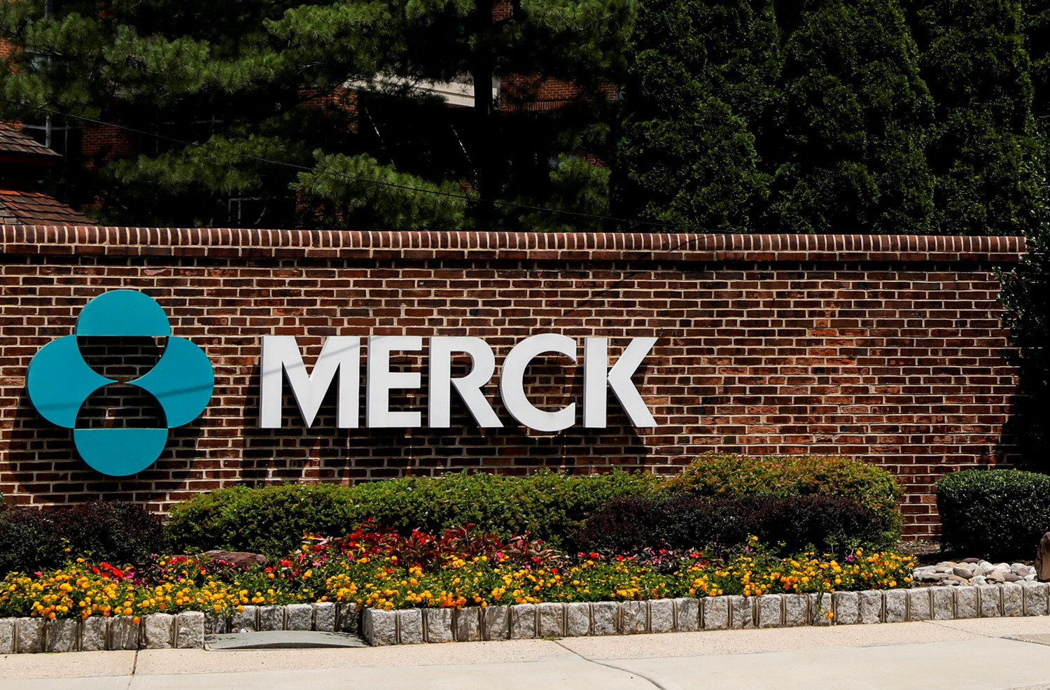 merck le benefice au premier trimestre inferieur aux attentes impact plus important de la pandemie attendu 