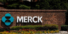 merck le benefice au premier trimestre inferieur aux attentes impact plus important de la pandemie attendu 