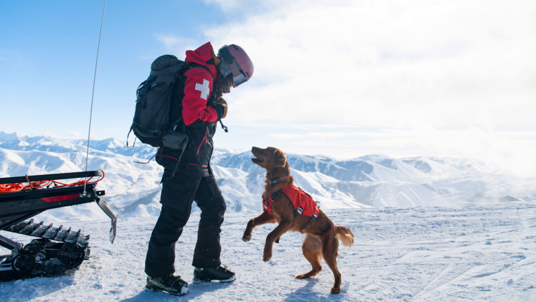 nulo 1 20260311145621 