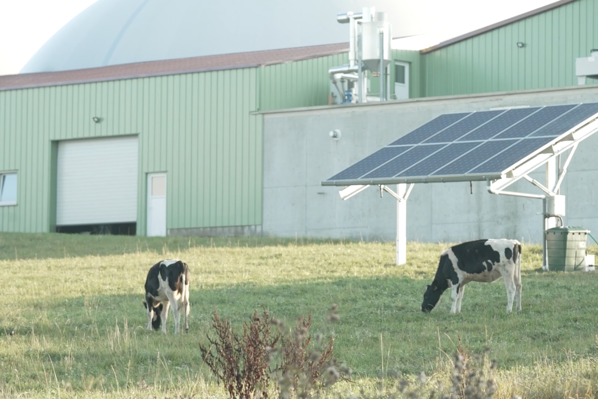 Iberdrola se adjudica cuatro proyectos de innovación agrovoltaicos en Francia