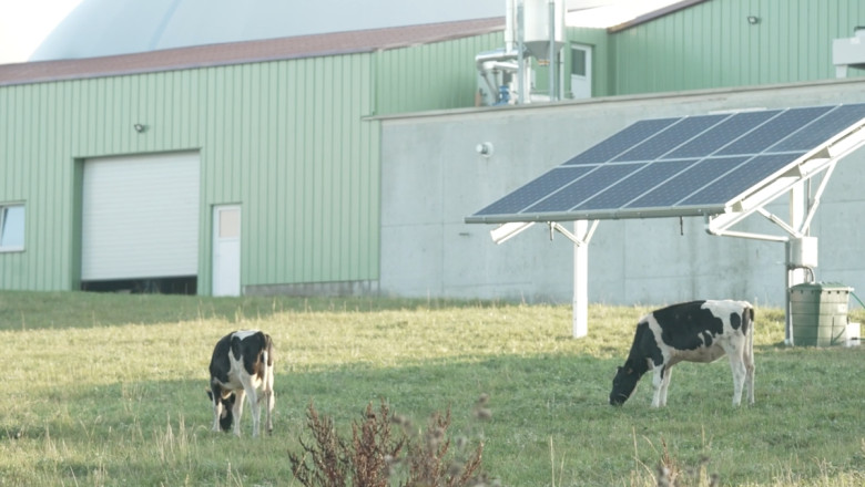 proyecto iberdrola kirch proyecto iberdrola kirch
