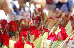 puesto de rosas en una calle de barelona sant jordi 1 1 1 puesto de rosas en una calle de barelona sant jordi 1 1 1
