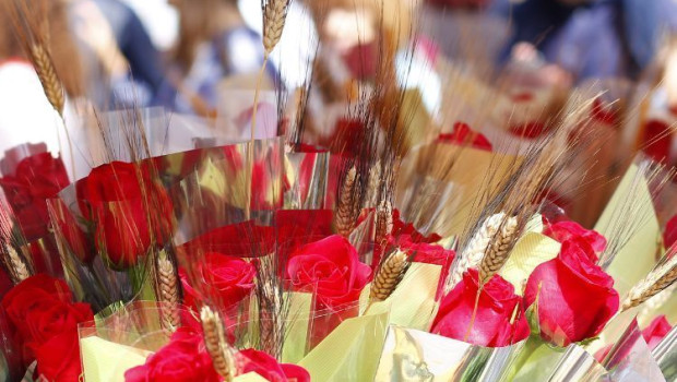 puesto de rosas en una calle de barelona sant jordi 1 1 1