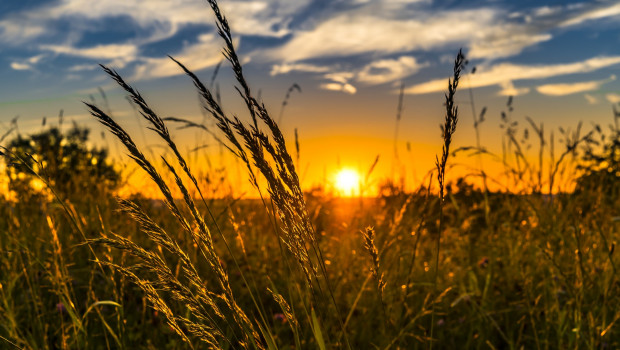 sun dl eco energy climate wheat agriculture food