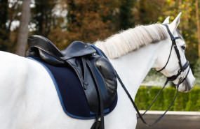 whatsapp image 2023 05 29 at 225014